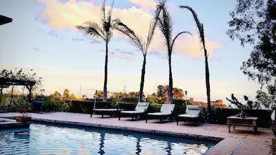 $145 / 1br - Magical Paradise at the Top of the World in Laurel Canyon, Hollywood Hills (West Hollywood, CA)