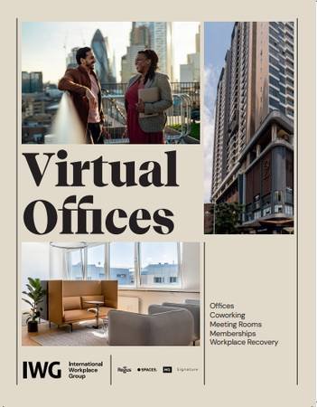 Go Virtual, Stay Professional (Woodland Hills)