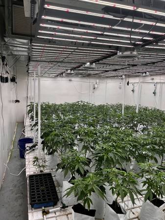 CANNABIS LOCATIONS AVAILABLE (Los Angeles)