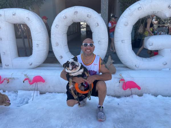 Need Room in Santa Monica or Nearby on the Westside-West LA or WestWood (SANTA MONICA)