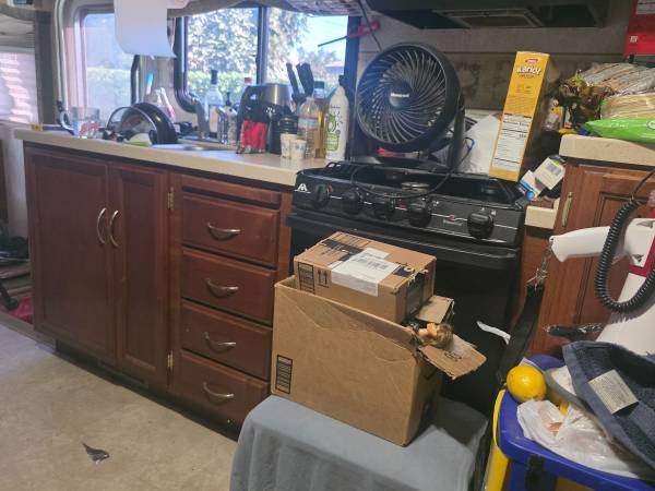 Seeking Roommate Partner