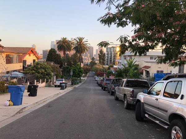 $800 for a 1-bedroom - Small Quiet DTLA Safe Spot in Echo Park Hills above Sunset Boulevard (DTLA Echo Park)