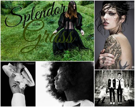 Private Photography Classes / Lessons (Hollywood Hills)