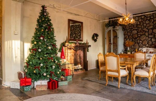 Holiday Studio Portrait Sessions $200