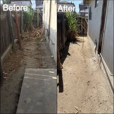 Lawn Care and Yard Clean Up Services in Los Angeles