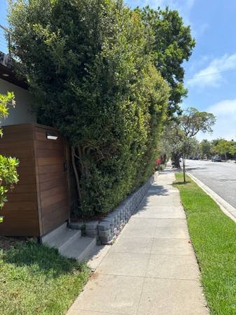 Garden Lawn Care (Los Angeles)