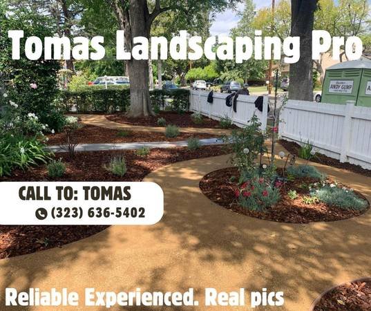 TOMAS Landscaping, Gardening, Artificial Grass, Trees, more. (San Gabriel Valley, Los Angeles, more.)