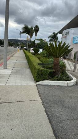 Gardener $80 Monthly (West Covina)