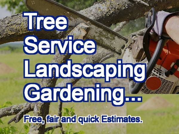 TEJEDA's Tree Specialist, Landscaping, more. Estimates. (Los Angeles, West, South. Orange County, more.)