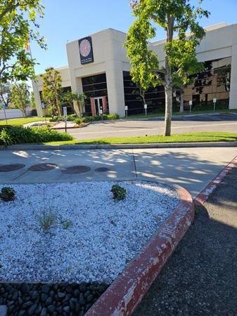 GEORGE TREE SERVICE (San Gabriel Valley, San Bernardino, Anaheim)