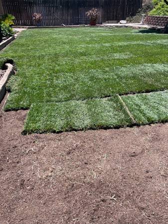 Sod Installation (I take credit cards) (West Covina)