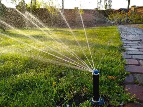 El Chavo Irrigation Services (I take credit cards) (Hacienda Heights)