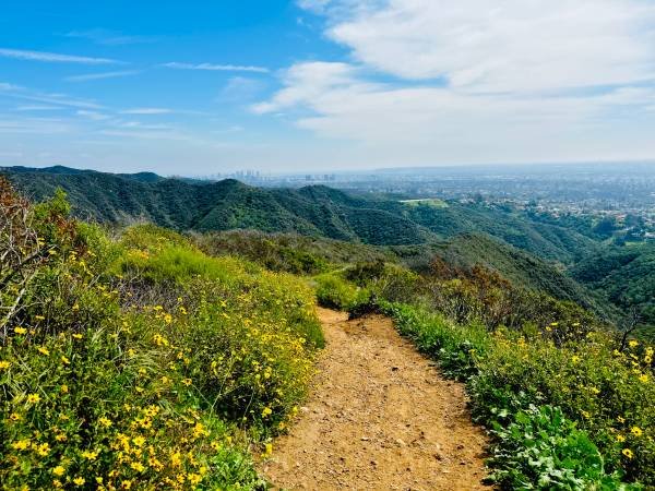 Life Coach: Private Walking / Hiking Sessions (310, 323, 818)