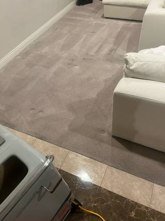 Moving In or Out Specials and Carpet Cleaning (Los Angeles)