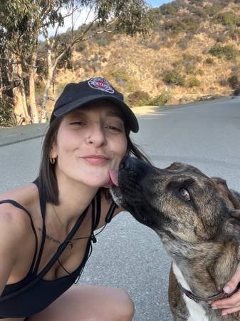 $84 per Day - House Sitting or Boarding - Professional Pet Lover