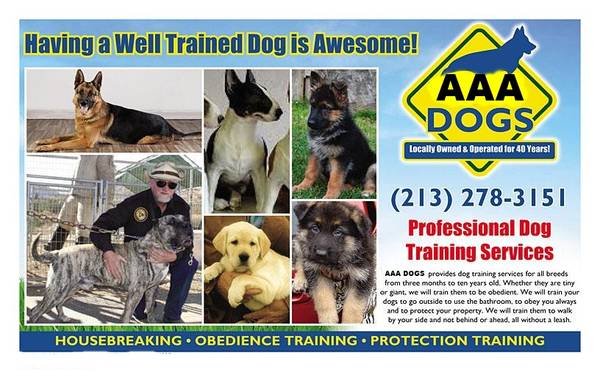 Dog Boarding by Professional Dog Trainer (Torrance)
