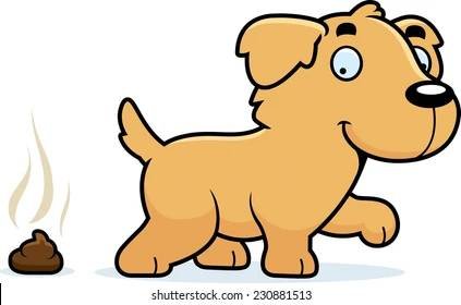 Dog Poop Removal (Azusa, Covina)