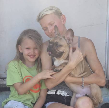 Hollywood Dog, Cat Boarding, Daycare, Sitter 15+ Years of Loving Care (Hollywood)