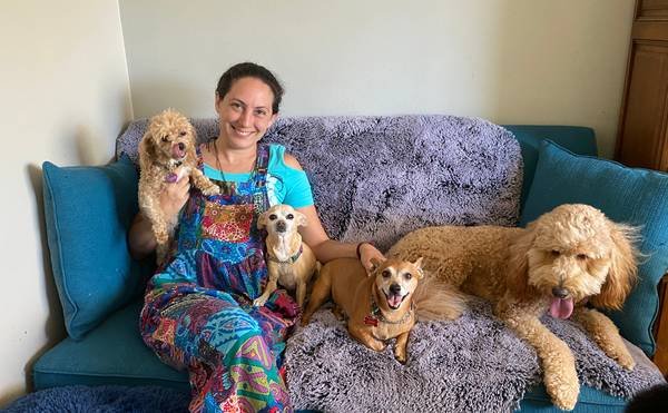 Dog Boarding, Dog Sitter Dog Sitting and Doggy Daycare in Woodland Hills (Woodland Hills)