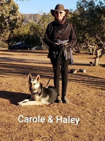 A Cut Above Dog Boarding