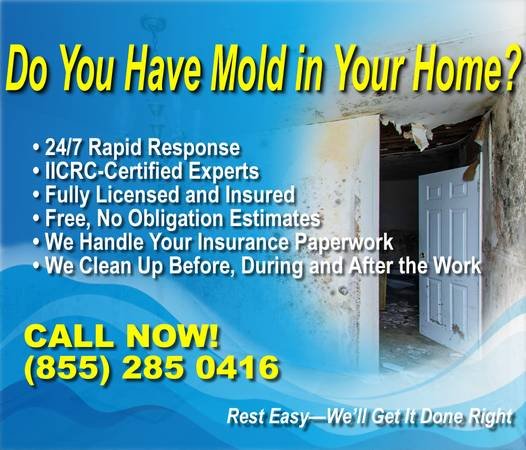 Water Damage? Flooded? Mold Removal? - 24/7 - Relief is Here (Call Now! 855-285-0416 - East Hollywood)