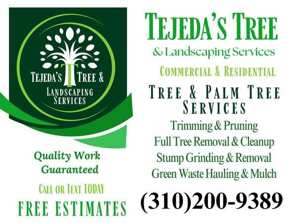 Baldwin Park Tree and Palm Service - Trimming, Removal, Stump (Baldwin Park, West Covina, El Monte, La Puente, Bassett)