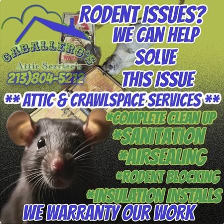 November Specials For Attic Services ($1 per sq ft)